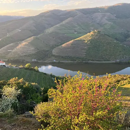 Hotel Placido Douro - 4*