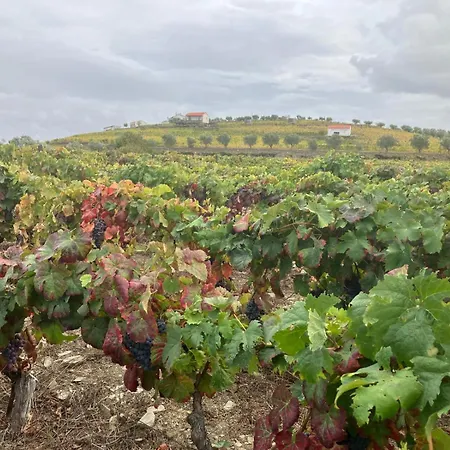 Placido Douro - 4* Tabuaco
