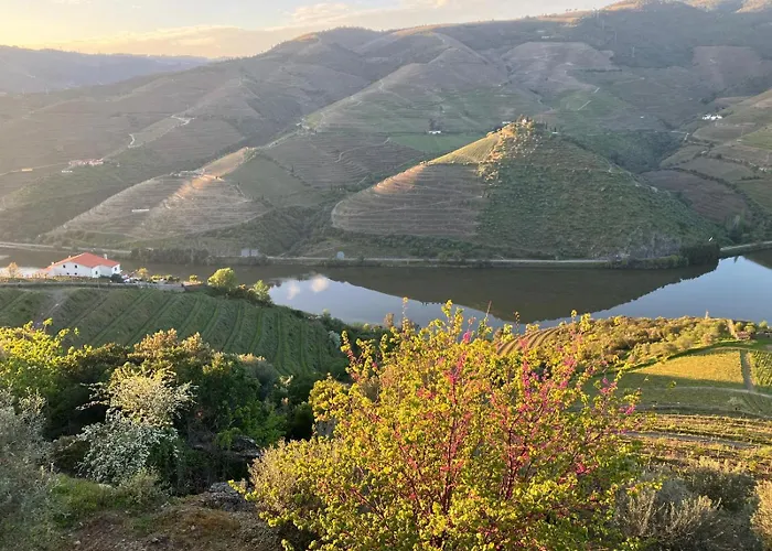 Отель Placido Douro - 4*