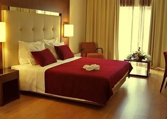 Hotel Placido Douro - 4*